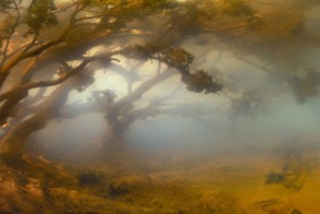 Красивые пейзажи, созданные дома (8 фото)