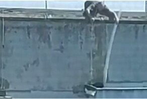 Мужчина спас попавшего в беду кота