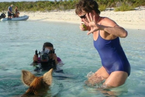 Незабываемый отдых на Багамских островах (29 фото)