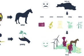 Ревитализация чернобыльской зоны (20 фото)