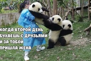 Особенности психологии мужчин, которые очень трудно воспринимает женский мозг