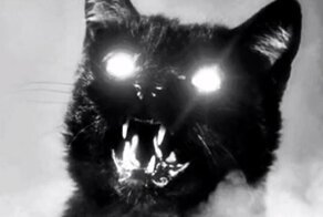 15 фактов, от которых мороз по коже