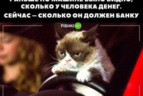 Авто Приколы