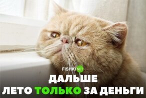 Улыбните улыбатор: забавные комментарии из социальных сетей