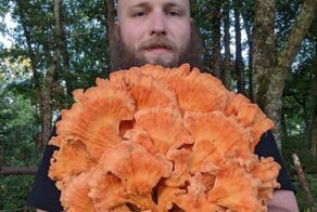 15 фотографий необычных находок