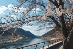 Факты о Южной Корее, которые вас поразят
