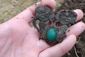 25 ну совсем неожиданных находок