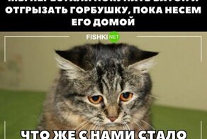 Большая подборка отличных приколов к началу очередной рабочей недели