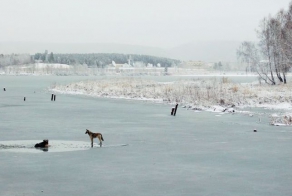 Первая жертва первого льда (7 фото)