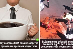 25 случайных фактов для вашей копилки знаний
