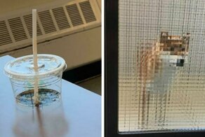 35 раз, когда реальная жизнь выглядела как сбой в матрице