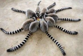 30 изображений с заголовками, которые пытаются вас обмануть