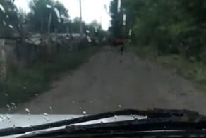 Охранник, с которым всегда можно договориться