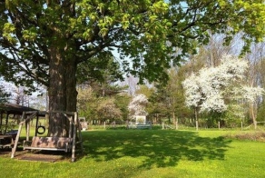 Шикарный вид заднего двора (38 фото)