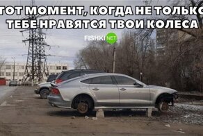 Подборка автомобильных приколов