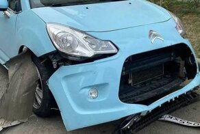 В Ростове-на-Дону стая бездомных собак «разворотила» автомобиль, пытаясь поймать кошку