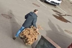 отделка стен деревянными кубиками. Смотреть фото отделка стен деревянными кубиками. Смотреть картинку отделка стен деревянными кубиками. Картинка про отделка стен деревянными кубиками. Фото отделка стен деревянными кубиками