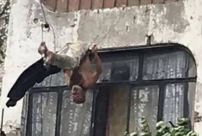 Новороссийск: мужик летел из окна с 5 этажа, но путь в "долину теней" преградили бельевые верёвки