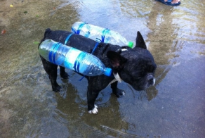 Тайланд готов к наводнению (29 фото)