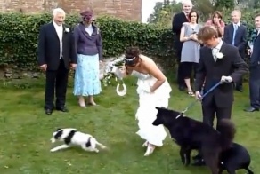 Видео подборка самых лучших неудач (видео)