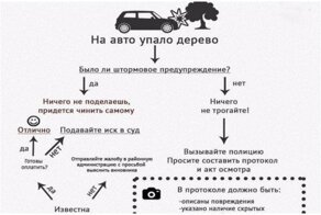 20 жизненных подсказок-шпаргалок, которые сделают вас эрудитом