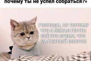 Весёлые Картинки. Часть 19