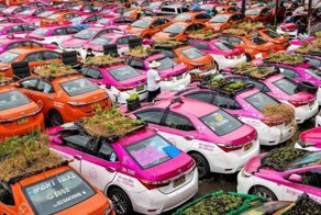 Простаивающие тайские такси становятся зелеными мини-огородами