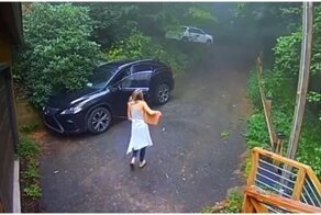 Забравшийся в автомобиль медведь застал девушку врасплох