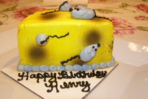 Праздничный торт на день рождения любимого кота (5 фото)