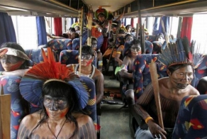 Такое возможно только в Южной Америке (47 фото + 2 гифки)