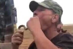 Астраханец решил показать фокус с проглатыванием змеи, но перепутал ужа с гадюкой