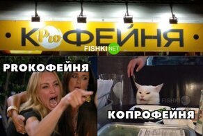 Убойные мемы с котом, которому всегда есть, что сказать и над чем похихикать