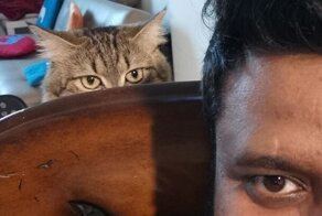 17 раз, когда хвостатые оказались слишком эмоциональными