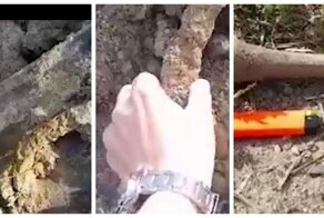 В Калининграде заказали землю для клумб и получили гроб с останками бонусом