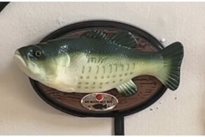 Настенные поющие рыбы исполнили хит группы Queen