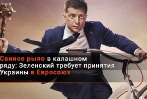 Свиньёй вроде и не назвали, но