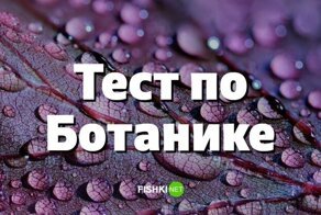 Что такое дилемма анекдот профессор объясните. Смотреть фото Что такое дилемма анекдот профессор объясните. Смотреть картинку Что такое дилемма анекдот профессор объясните. Картинка про Что такое дилемма анекдот профессор объясните. Фото Что такое дилемма анекдот профессор объясните
