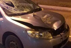 Авария дня. Автомобилистка сбила пенсионера с собакой в Красноярском крае