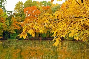 Не принимать подарков и не пить вина: с чем связаны такие 15-октябрьские запреты?