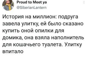 К этому их жизнь не готовила: неожиданные ситуации, в которых сложно не растеряться