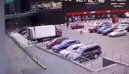 В Санкт-Петербурге дикий кабан попытался штурмом взять дверь в магазине