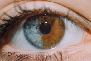 Тело, которым можно гордиться