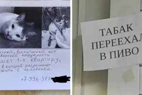 Остаться без улыбки нереально: 19 странных и забавных объявлений