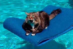 Вытащите меня немедленно!