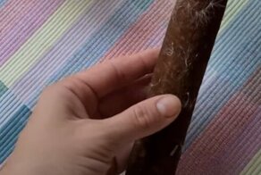 Одно из самых неожиданных применений рогоза