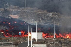 Застрявших на островке из-за вулкана собак кормят с дронов