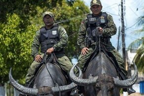 30+ фотографий, доказывающих, что бразильцы - отличные ребята!