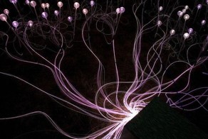 Световые инсталляции британского художника Bruce Munro (30 фото)