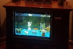 Проекты, где умелые руки и буйная фантазия удачно дополнили друг друга