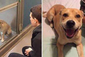 19 фото "до и после", которые точно вас порадуют